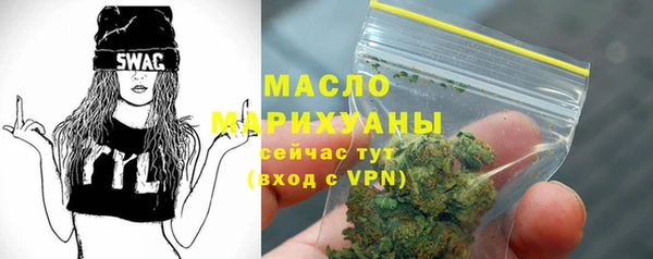 крисы Верхний Тагил