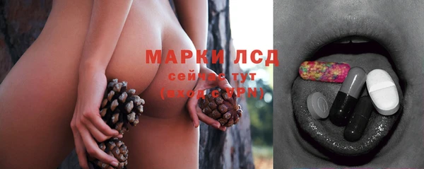 крисы Верхний Тагил