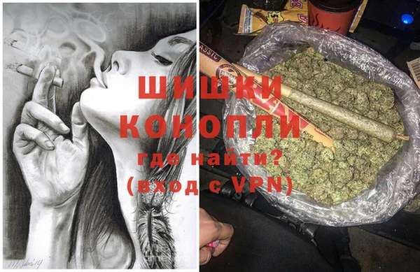 хмурый Липки