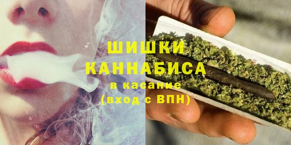 крисы Верхний Тагил