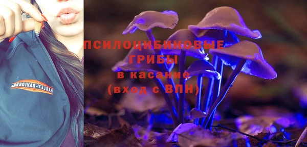 крисы Верхний Тагил