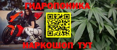 экстази Будённовск