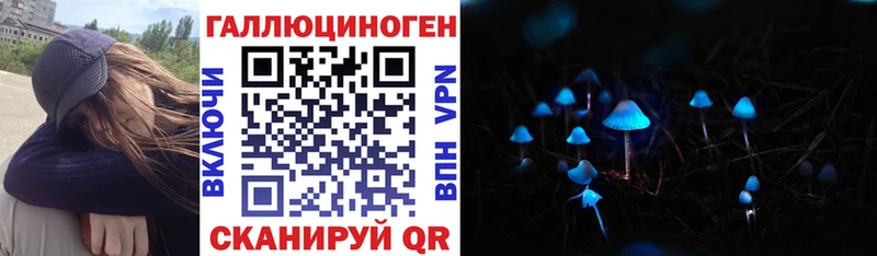 хочу наркоту  hydra вход  Галлюциногенные грибы Cubensis  Гусев 