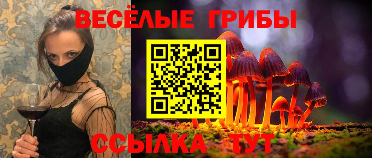 APVP Гусев